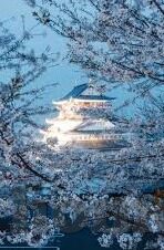 2012中文字幕手机免费看-2012年电影，免费中文字幕手机观影体验
