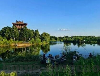 91麻豆果冻传媒天美蜜桃-探索多维度娱乐，数字内容平台的创新与影响