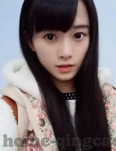 大象传媒app免费版-探索大象传媒APP免费版，数字时代的娱乐新选择