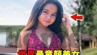 大象传媒网址链接-探索大象传媒，互联网文化传播的新视角