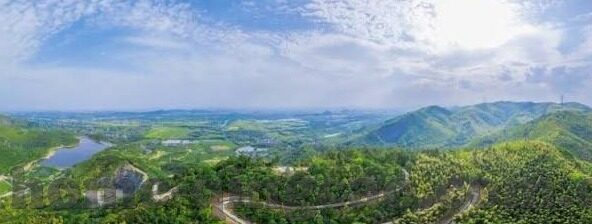 大象的视频儿童看的-儿童眼中的奇妙世界，大象的温馨视频之旅