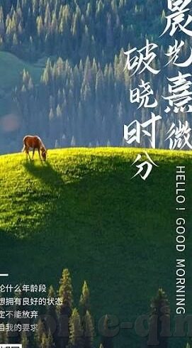 麻豆91制片京东星空-麻豆91与京东星空的意向交织，在线视频平台的多元发展探索
