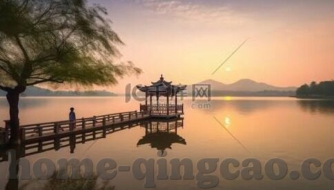麻豆传媒在线app-麻豆传媒在线app，探索数字时代的娱乐新维度