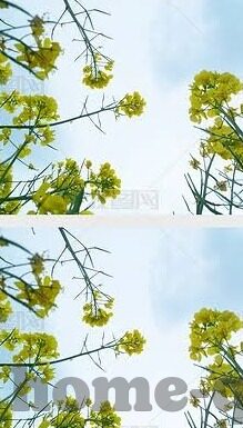 在线网站av麻豆-探究AV视界，在线网站的多元视觉体验与文化交融
